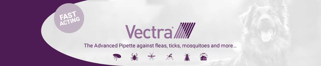 Vectra